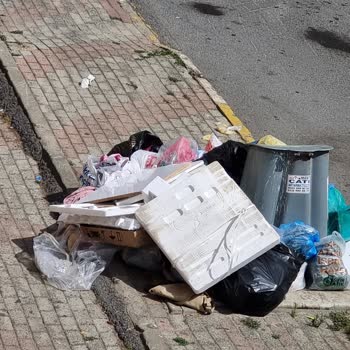 Pendik Belediyesi Çöpün Alınmaması Ve Her Yerin Kötü Kokması