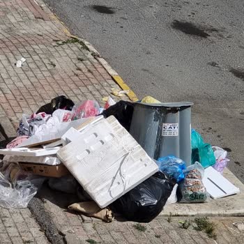 Pendik Belediyesi Çöpün Alınmaması Ve Her Yerin Kötü Kokması