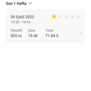 Yanıltıldım Martı Tarafından