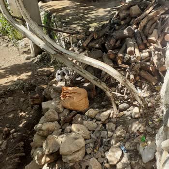 Enerji ve Tabii Kaynaklar Bakanlığı Elektrik Direği Devrilmesi