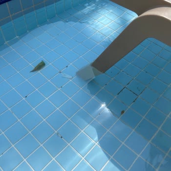 Crystal Hotels P! Sl! K Kötü Hizmet Hayal Kırıklığı