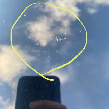 My Ford's Paint Was Ruined by Bird Poop