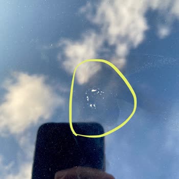 My Ford's Paint Was Ruined by Bird Poop