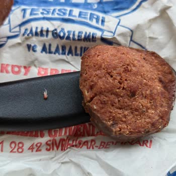 Muhteşem Dinlenme Tesisleri Muhteşem Dinlenme Tesisi Dövme Sucuğundan İğrenme