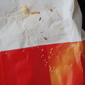 BİM Paketin İçinden Kurt Ve Karıncalar Çıktı