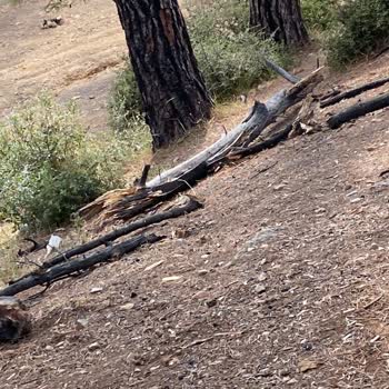 Gökçetepe Tabiat Parkı Ücret İadesi Alamamak