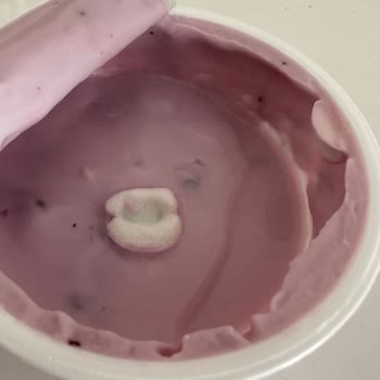 Sek Quark Küflü Yoğurt