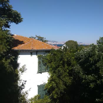 Jolly Turdan Şikayetçiyim