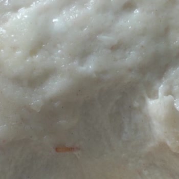 Tunç Başak Un Fabrikası Bir Markanın Unundan Kurt Çıktı