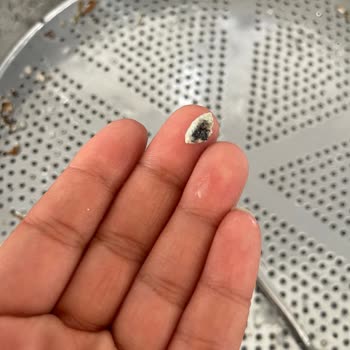 Milupa Süte Siyah Topaklanma