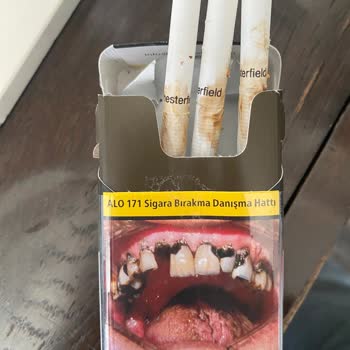 Philip Morris Küflenmiş Ve Yapıştırılmış Sigara Dalları