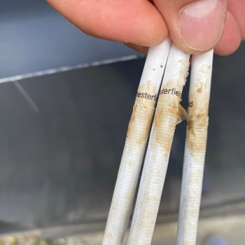 Philip Morris Küflenmiş Ve Yapıştırılmış Sigara Dalları