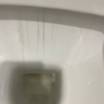 Creavit Marka Klozet Kullanmak Pişmanlıktır