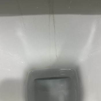 Creavit Marka Klozet Kullanmak Pişmanlıktır