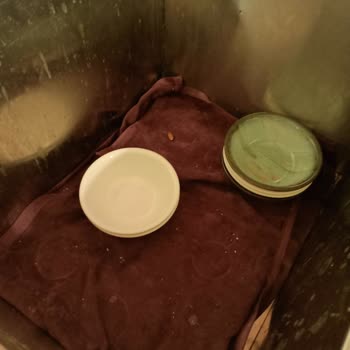 Calido Maris Hotel Calido Maris Ultra Otelindeki Deneyimim