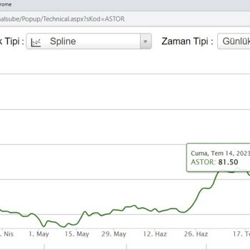 Ziraat Yatırım Webte Düzeltilmeyen Hata