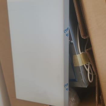 Bosch'un Sorumsuzluğu Hakkında