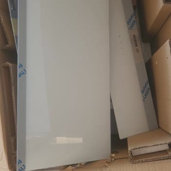 Bosch'un Sorumsuzluğu Hakkında