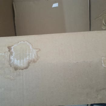 Avrupa Networking Müşteri Hizmetlerine Ulaşım Yok ve İade Yapılmıyor