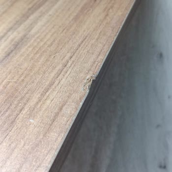 Vivense Getirilen Bütün Parçalar Hasarlı
