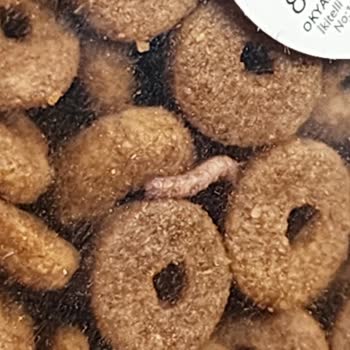 Royal Canin Mama Böcek Ve Kurt...