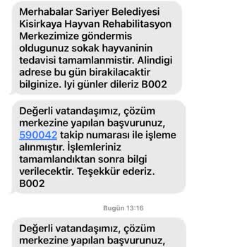 Sarıyer Belediyesi Veteriner Kliniği Sorumsuzluğu