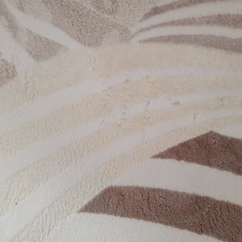 Araz Halı Yıkama (Konya) Konya'daki Araz Halı Yıkama Halılarımı Delik Deşik Etti