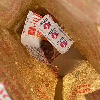 Dead Flies Found in My Burger King Order – Never Ordering Again!