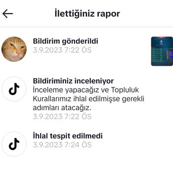 TikTok Bir Kullanıcıyı Bile Anlamadan İhlal Yok Diye İşaretlemek