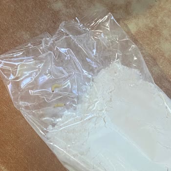 Sinangil Gıda Pirinç Ununda Kurt