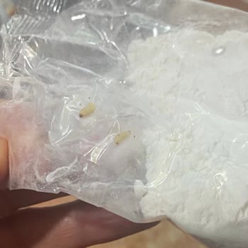 Sinangil Gıda Pirinç Ununda Kurt