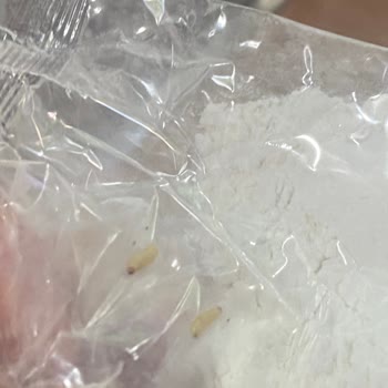 Sinangil Gıda Pirinç Ununda Kurt