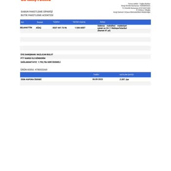 Evde Paketleme İşi Adı Altında