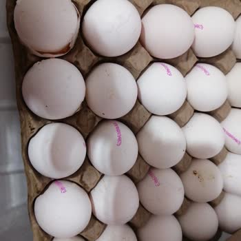 A101 Kirik Akmış Yumurta Getirdi