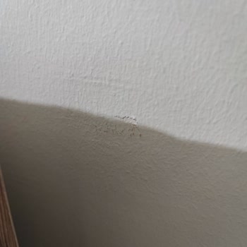 Kilim Mobilya Sorunlu Ürün Değişimine Olumsuz Dönüş