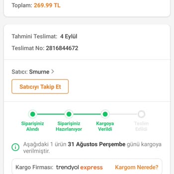 Trendyol Dan Satın Aldığım Çantayı Kargoda Kaybetmişler.