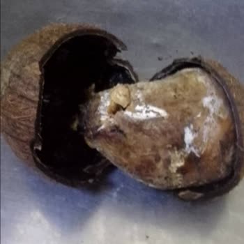 BİM Hindistan Cevizi Çürük Çıktı