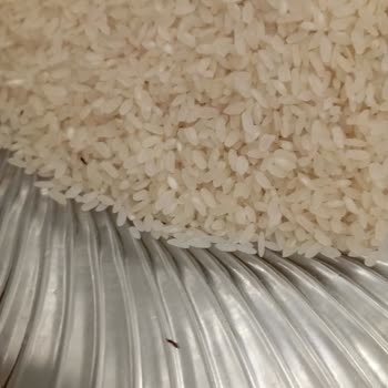 Yayla Bakliyat Yeni Açılan Yayla Marka Pirinçte Böceklenme