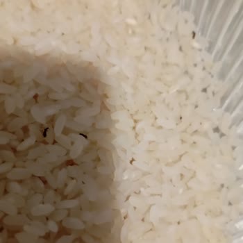 Yayla Bakliyat Yeni Açılan Yayla Marka Pirinçte Böceklenme