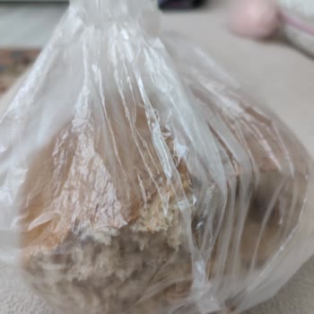 Ankara Halk Ekmek Tam Buğday İç Hamurunda Silikon Çıkması!