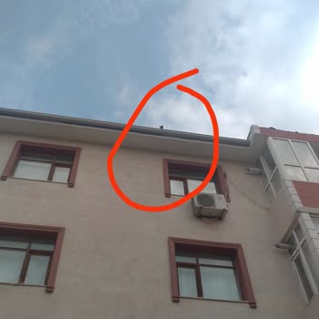 Sakarya Büyükşehir Belediyesi Çatıda Mahsur Kalan Kedi