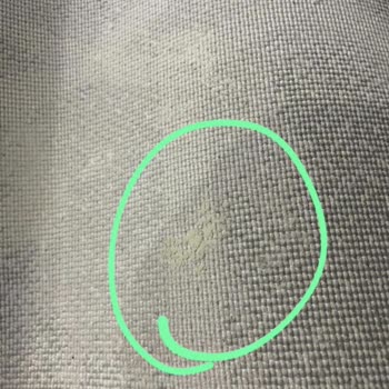 Harika Halı Yıkama Halılarımı Pis Getirdi