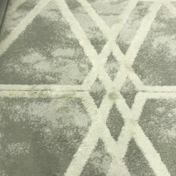 Harika Halı Yıkama Halılarımı Pis Getirdi