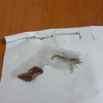 Cappy Ramazan Şerbeti Bozuk Çıktı