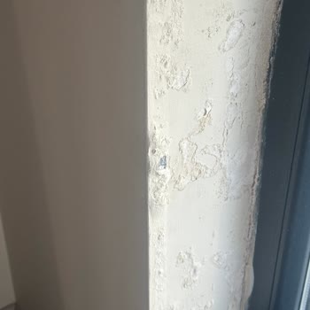 Emlak Konut GYO Evimizdeki Su Sızıntısı Sorunu Hızlıca Çözülmeli