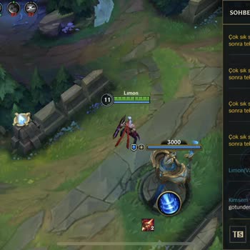 Riot Games Wild Rift Küfür