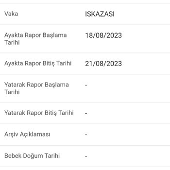 E-Devlet (Turkiye.gov.tr) Rapor İçeriği!