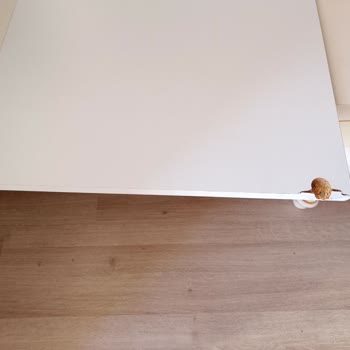 Kahramanmaraş Kartal Taşıma'dan Şikayetçiyim