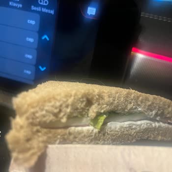 Dardanel Sandviçte Kıl Çıktı
