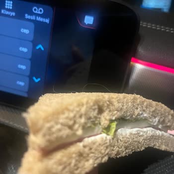 Dardanel Sandviçte Kıl Çıktı